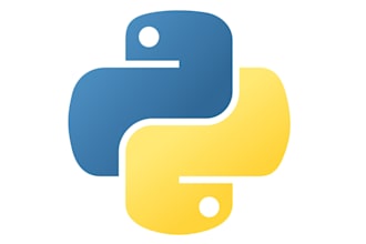 provide python development services