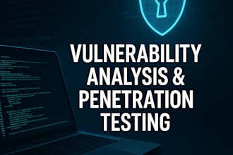 perform vulnerability analysis and penetration testing professionally