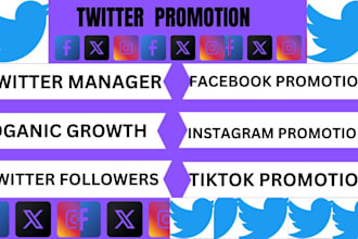 do crypto twitter promotion and x marketing for organic followers growth