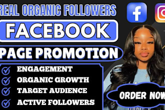 grow facebook page, instagram promotion to increase organic traffic tiktok ads