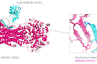 do molecular docking, interaction table and images