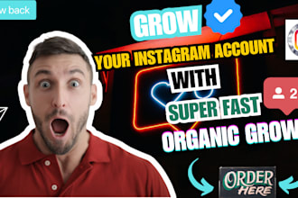 do professionally instagram promotion, instagram management, organic followers