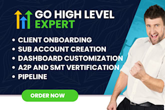 setup gohighlevel ai voicebot ai agent automation ai chatbox twilio ghl funnel