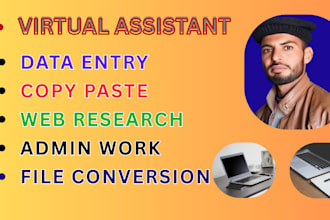 be your virtual assistant for data entry, copy paste, web research, convert file