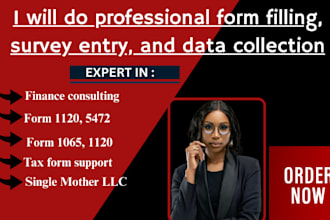 fill online surveys, forms, and provide tax form assistance