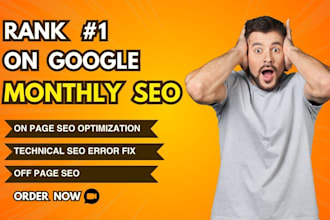 do complete monthly SEO service with on page and off page for google ranking