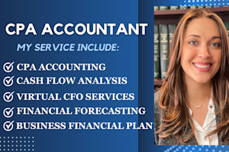 provide expert financial forecasting and virtual cfo support as a CPA