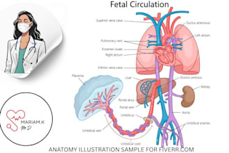 draw exercise, medical and anatomy illustrations