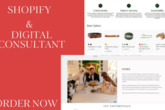 be your digital marketing consultant and shopify mentor for business owners