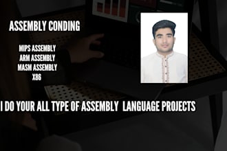 do x86, mips and all type of assembly language development