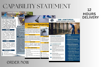 do capability statement , government capability statement ,government contract