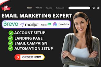 brevo campaign, mailjet, mailerlite, mailgun, beehive newsletter design