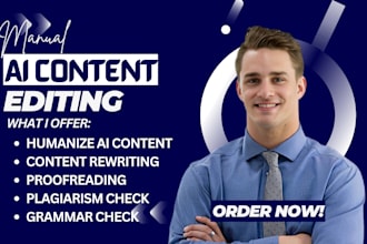 manually rewrite humanize ai content articles website content plagiarism reports
