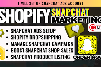 manage run snapchat ad campaign, snapchat marketing snap pixels to shopify store