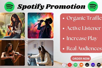 do viral organic spotify playlist curator for viral music podcast promotion
