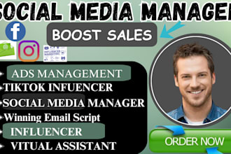 be your virtual assistant for influencers, social media marketing