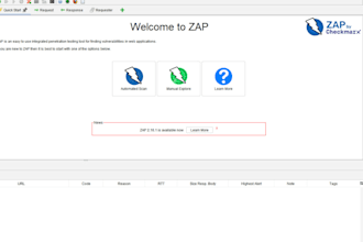 perform a web app penetration test and deliver a security report