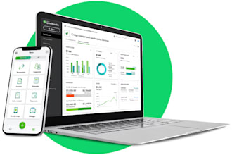be your cfo or professional accountant for bookkeeping and tax consulting