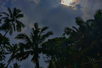 take photos and edit it
