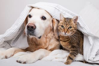 build premium shopify pet store pet food dropshipping website pet supplies shop