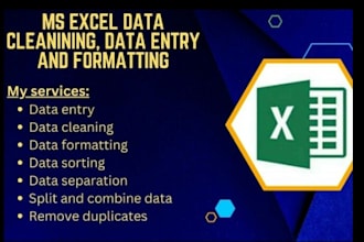 do any excel work data entry formulas, pivot tables, more