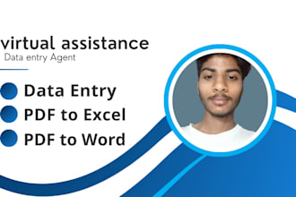 do accurate data entry, web research, copy paste and excel data entry jobs