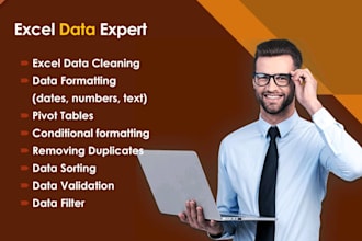 do excel data cleaning, formatting, pivot tables and split excel data