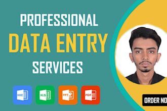 do excel data entry, copy paste, convert pdf, web research, typing, data entry
