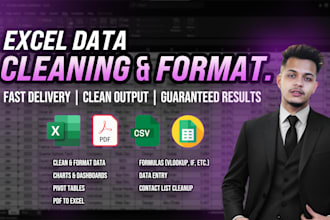 professionally clean, format, and merge excel or CSV data files