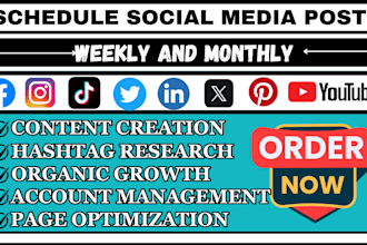 buffer metricool hootsuite later loomly to schedule posts on social media posts
