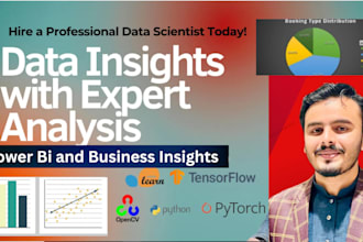 do data scientist data analytics and business insights