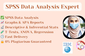 be your expert data analyst for spss analysis