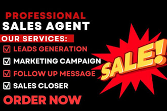 be USA UK high ticket sales closer b2b sales agent sales person telemarketer VA