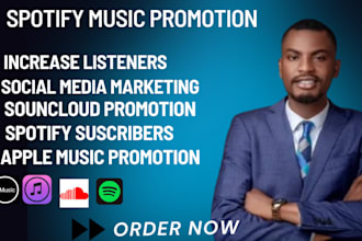 promote your spotify music to 900k listeners and run ads campaign