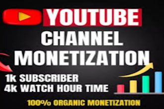 youtube channel promotion, complete channel monetization, to niche your audience