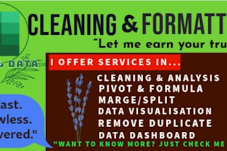 clean, format, merge, split excel data