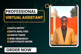 be your virtual assistant, do fast and accurate data entry