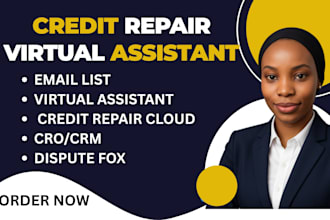be your personal executive, credit repair and HR social media virtual assistant