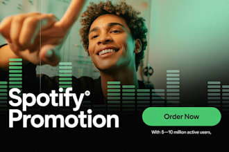 do professional spotify music promotion through ads campaign