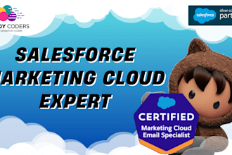 be your salesforce marketing cloud expert