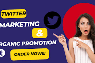 do organic twitter x marketing and promotion to grow niche targeted followers