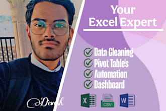 do excel charts, graphs, pivot table, data cleaning and dashboard
