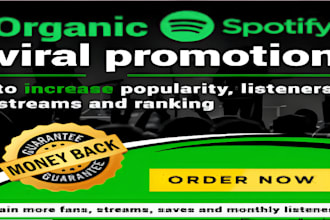 do organic worldwide music promotion, apple music, spotify , itunes, soundcloud