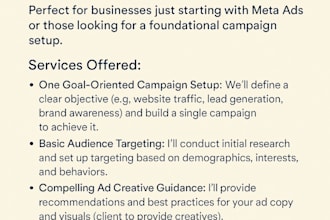 set up, create and monitor facebook ads campaigns, instagram ads
