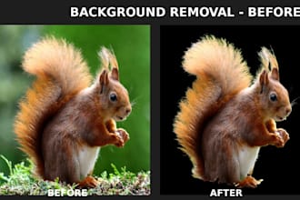 remove background from images with expert photoshop editing