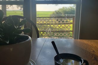 be your go to beta reader