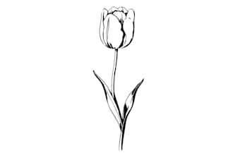 draw elegant floral and botanical silhouette svgs