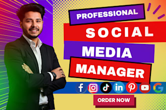manage your all social media facebook instagaram pinterest