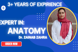 tutor human anatomy tutor for medical students