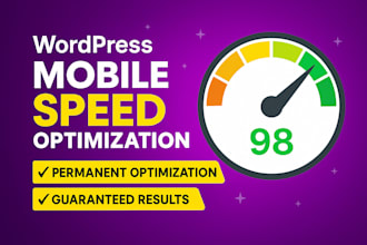 increase wordpress speed optimization with wp rocket and litespeed cache